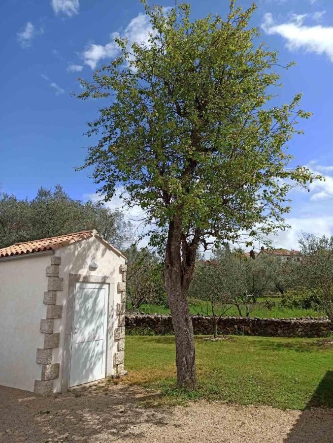 Holiday House Vela Vrta Sveti Ivan Dobrinjski Экстерьер фото